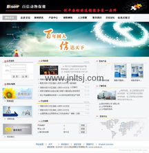 山東濟(jì)南網(wǎng)絡(luò)公司 高端網(wǎng)站建設(shè)與程序開發(fā)服務(wù)